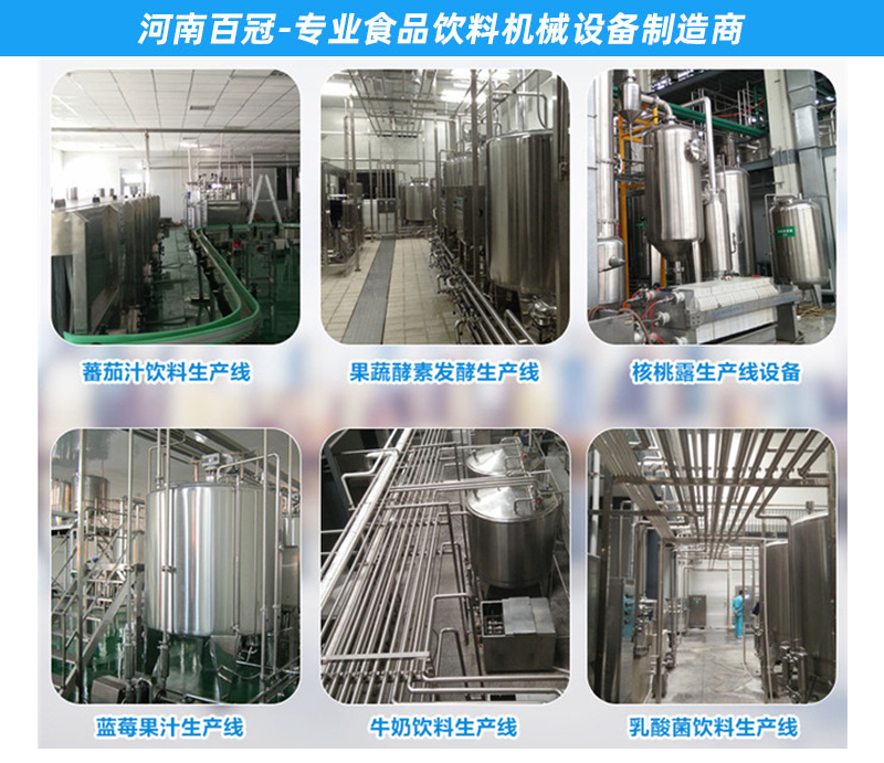小型檸檬果汁飲料生產(chǎn)線加工設備